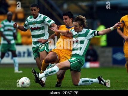 Tim Sills de Torquay United et Terry Skiverton de Yeovil Town In action Banque D'Images