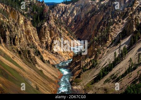 Rivière Yellowstone depuis la piste de Brink of the Lower Falls, Grand Canyon of the Yellowstone, parc national de Yellowstone, Wyoming, États-Unis Banque D'Images