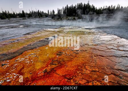 Black Pool à West Thumb Geyser Basin, Parc National de Yellowstone, Wyoming, USA Banque D'Images