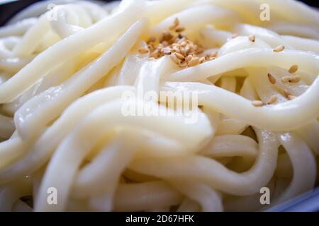 Gros plan de Zaru Udon, nouilles réfrigérées, cuisine japonaise Banque D'Images