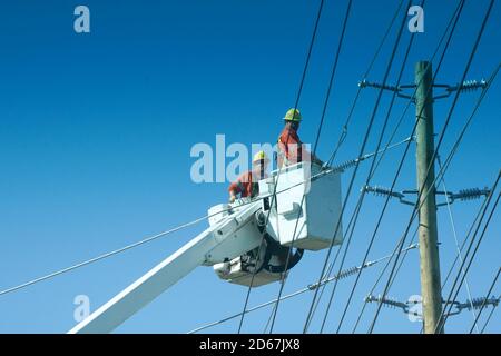 Les équipes d'Hydro travaillent sur des fils sous tension Banque D'Images