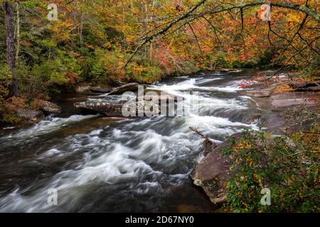 Cascade sur la petite rivière en automne - Corn Mill Shoals Trail, DuPont State Recreational Forest, Cedar Mountain, Caroline du Nord, États-Unis Banque D'Images