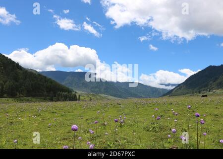 Belle vallée de Phobjikha au Bhoutan Banque D'Images