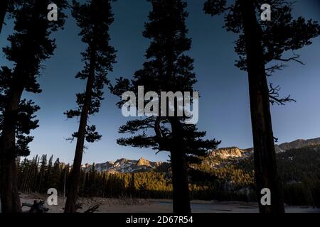 12 juin 2014, Mammoth Lakes, Californie, États-Unis : pins et montagnes enneigées au lac Mary au coucher du soleil, Mammoth Lakes. La Sierra abrite trois parcs nationaux, vingt zones sauvages et deux monuments nationaux. La Sierra Nevada est la plus haute chaîne de montagnes des États-Unis contigus. Mammoth Lakes se trouve au bord de la Caldera de la vallée de long et est géologiquement active. Les points forts sont la station de ski de Mammoth Mountain, au-dessus du sommet de Minaret, puis jusqu'au monument national Devils Postpile, avec accès à la région sauvage d'Ansel Adams. La région a des sources chaudes naturelles, des lacs, des sources de soda Banque D'Images