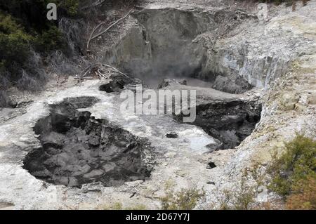 Des piscines de boue bouillante, à Waiotapu Thermal Wonderland, île du Nord, Rotorua, Nouvelle-Zélande Banque D'Images