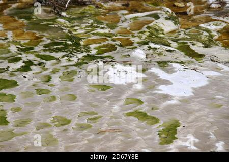 Les dépôts de minéraux à Waiotapu Thermal Wonderland, Rotorua, île du Nord, Nouvelle-Zélande Banque D'Images