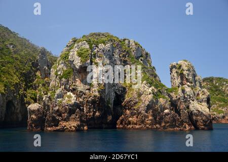 Rahi Tawhiti, réserve naturelle de Poor Knights Islands, Bay of Islands, Île du Nord, Nouvelle-Zélande Banque D'Images