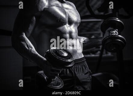 Homme musclé sur fond de salle de gym avec haltère. Athlète dans la salle de gym avec haltères. ABS et biceps. Homme musclé avec haltère. Fort Banque D'Images