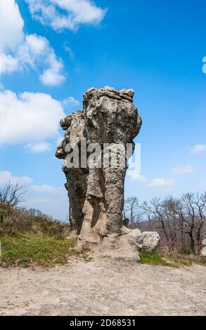 Italie Calabre - Cosenza province - Campana - les géants de la pierre aussi appelé Pietre dell'Incavallicata, sont deux formations rocheuses, censées être en fait des sculptures mégalithiques, près de Campana dans le Parc National de Sila. Banque D'Images