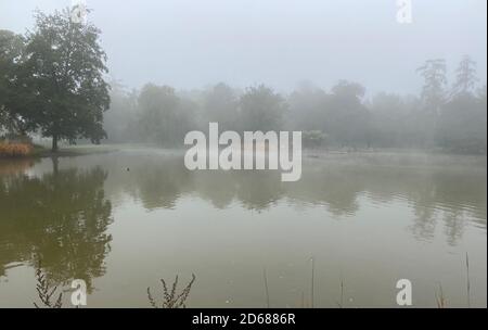 Karlsruher Schlossgarten im Nebel foggy Château de Karlsruhe Banque D'Images