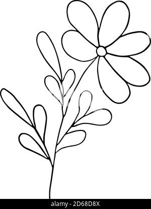 Une fleur fantaisie simple dessinée à la main, illustration vectorielle d'un vecteur d'esquisse, objet isolé de contour sur fond blanc Illustration de Vecteur