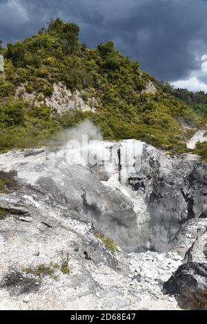 sol de soufre à pohutu geyser, vallée thermale de whakarewarewa, rotorua, nouvelle-zélande Banque D'Images