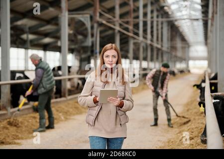 Portrait d'une agricultrice sérieuse analysant la production de bétail à l'aide d'une tablette pendant que son mari et son fils nourrissant des vaches en arrière-plan Banque D'Images