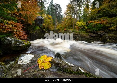 Vue d'automne de la salle d'Ossian surplombant la cascade de Black Linn Waterfall sur le fleuve Braan à l'Hermitage, Perthshire, Écosse, Royaume-Uni Banque D'Images