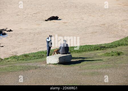 Newquay, Cornwall, le 15 octobre 2020, soleil glorieux à Fistral Beach, à marée basse à Newquay, Cornouailles. Les gens marchaient sur la plage de sable ou sur le paddle-board. Crédit : Keith Larby/Alay Live News Banque D'Images