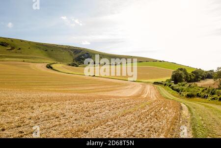 Le long Man de Wilmington et le South Downs, Angleterre. Une vue d'été de la campagne de l'est du Sussex avec la figure de colline de repère visible dans le dis Banque D'Images