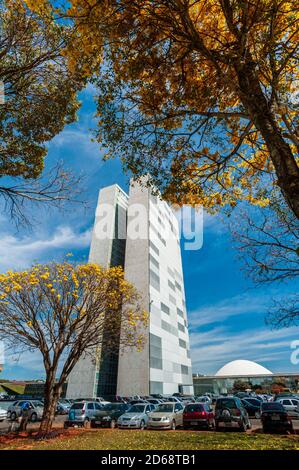 Congrès national avec arbres à bépe jaune en fleur, Brasilia, DF, Brésil le 14 août 2008. Banque D'Images