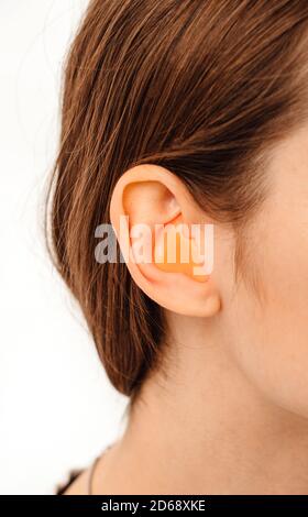 Bouchons d'oreilles moulés personnellement. Processus de fabrication des bouchons d'oreille à partir d'une impression d'oreille d'une femme. Audiologie. Partie de l'ensemble Banque D'Images