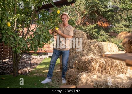 Homme heureux en chapeau de paille jonglant avec des citrons dans le jardin Banque D'Images