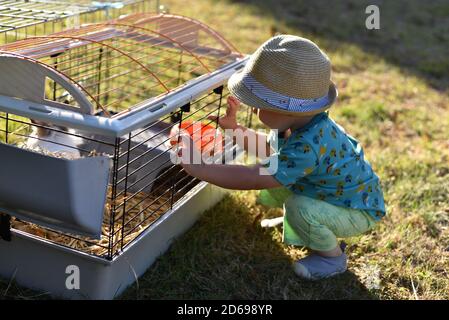 Petit garçon caucasien portant un chapeau, regardant un lapin dans sa cage dans un jardin au coucher du soleil. Banque D'Images