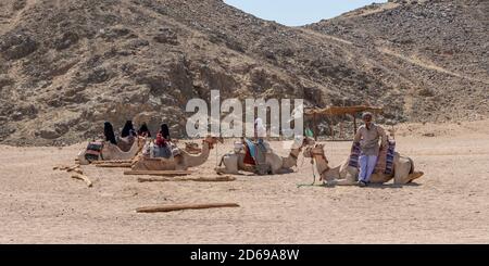 Hurghada, Egypte - 1 octobre 2020: Femmes et hommes bédouins près des chameaux en prévision des touristes. Village dans le désert du Sahara près de Hurghada, Egyp Banque D'Images