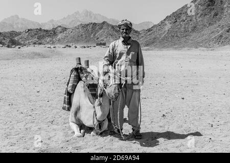 Hurghada, Égypte - 1er octobre 2020 : vieil homme bédouin avec son chameau dans le désert près de Hurghada, Égypte Banque D'Images