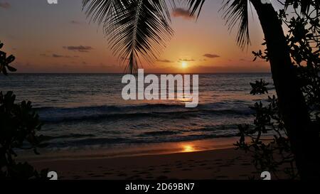 Coucher de soleil majestueux sur l'horizon de l'océan avec soleil de couleur orange se reflétant dans l'eau et les silhouettes de plantes sur la plage tropicale Anse Takamaka, Mahé. Banque D'Images