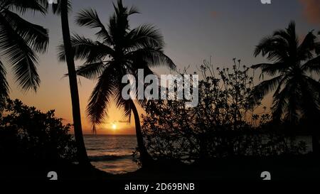 Magnifique coucher de soleil sur la plage tropicale Anse Takamaka dans le sud de l'île de Mahé, Seychelles avec soleil orange sur horizon et silhouettes de palmier. Banque D'Images