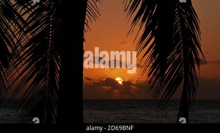 Coucher de soleil majestueux sur la plage tropicale Anse Takamaka, île de Mahé, Seychelles avec le soleil qui disparaît dans les nuages à l'horizon et la silhouette de palmier. Banque D'Images