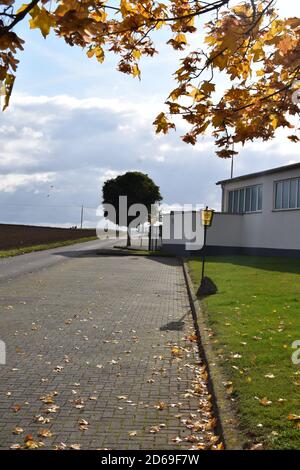 chemin le long du terrain de football en automne Banque D'Images