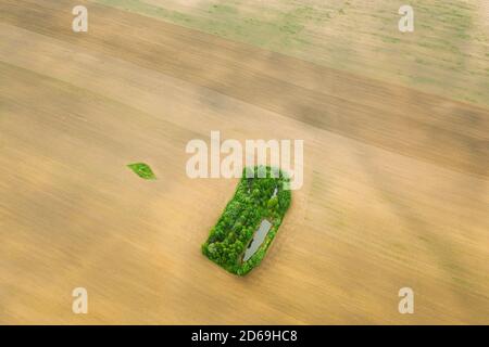 Petite île naturelle verte avec herbe verte, forêt et petit étang au printemps paysage rural vide. Champ agricole. Vue aérienne Banque D'Images