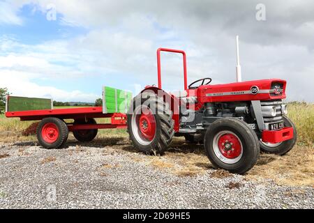 1964 tracteur Massey Ferguson 135 avec remorque Banque D'Images