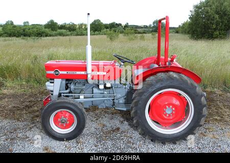 Tracteur Massey Ferguson 135 1964 Banque D'Images