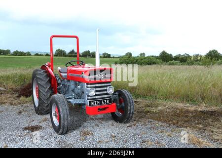 Tracteur Massey Ferguson 135 1964 Banque D'Images