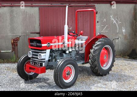 Tracteur Massey Ferguson 135 1964 Banque D'Images