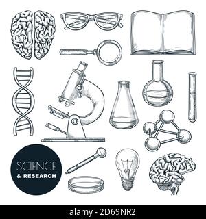 Laboratoire scientifique et recherche en chimie croquis illustration vectorielle. Ensemble isolé d'icônes d'éducation dessinées à la main. Cerveau humain, adn et matériel de laboratoire coll Illustration de Vecteur