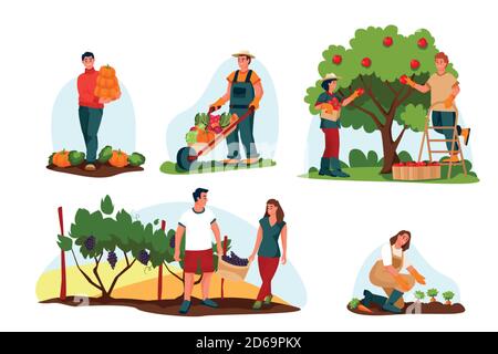 Concept de récolte et d'agriculture d'automne. Illustration de dessin animé à plan vectoriel. Les agriculteurs récoltent des légumes et des fruits d'automne. Les gens cueillez des pommes, p Illustration de Vecteur