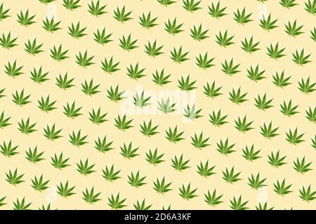 Motif tendance fabriqué avec du cannabis à feuilles vertes sur un fond jaune clair. Concept minimal d'HUILE CBD Banque D'Images