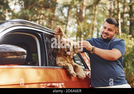 L'homme se tient près de la voiture dans la forêt. Le joli chien dans le véhicule regarde par la fenêtre Banque D'Images