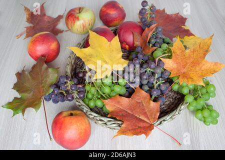 Feuilles d'érable, nectarine, pommes, raisins isolés sur un fond en bois. L'automne encore la vie. Banque D'Images