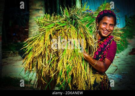 Happy village Farmer récolte ses récoltes au Bangladesh Banque D'Images