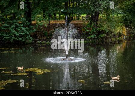 Bassin du palais, parc du château de Gmünd, Waldviertel, Autriche Banque D'Images