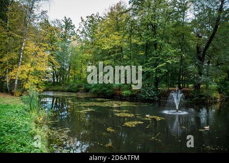 Bassin du palais, parc du château de Gmünd, Waldviertel, Autriche Banque D'Images