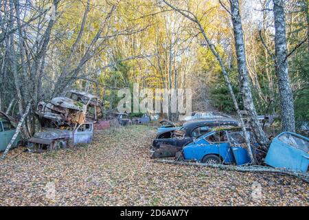 Cimetière automobile en automne en Suède Banque D'Images