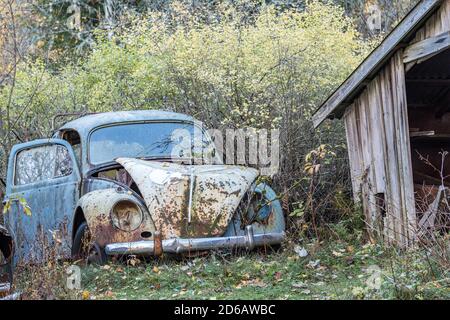 Cimetière automobile en automne en Suède Banque D'Images