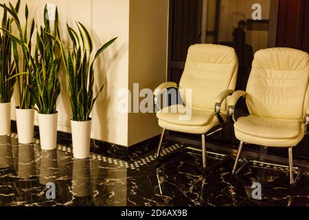 Intérieur luxueux du hall de l'hôtel, salon avec fauteuils en cuir blanc et plantes vertes en pots Banque D'Images