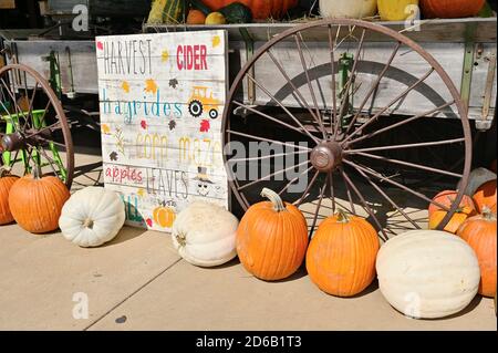 Citrouilles et gourdes exposées devant un vieux wagon avec un panneau indiquant la saison d'automne ou d'automne est sur nous en Alabama, aux États-Unis. Banque D'Images