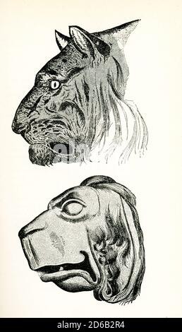 Cette illustration de ces têtes de tigre est tirée de l’essai de John Ruskin intitulé « les sept lampes de l’architecture », publié en 1849. La légende du livre de Ruskin se lit comme suit : Tiger's Head et Improvement of Same sur les principes grecs - Ruskin a écrit d'abord tiré de la vie, 2ème basé sur la bête grecque idéale. John Ruskin était le principal critique d'art anglais de l'époque victorienne, ainsi qu'un patron d'art, un dessinateur, un aquarelliste, un philosophe, un éminent penseur social et philanthrope. Il a écrit sur des sujets aussi variés que la géologie, l'architecture, le mythe, l'ornithologie, la littérature, l'éducation, la botanique et l'économie politique. La commande ' Banque D'Images