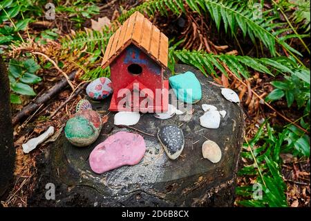 Des Knick dans une forêt tropicale, Courtenay, Île de Vancouver, Colombie-Britannique, Canada Banque D'Images