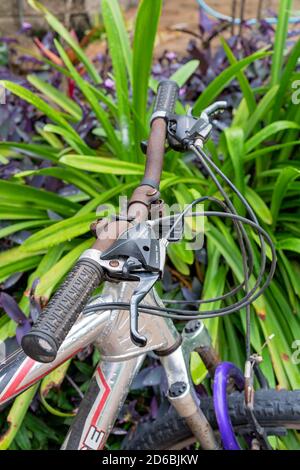 Townsville, Queensland, Australie - juin 2020 : les poignées d'un vélo appuyé contre les plantes dans le jardin Banque D'Images